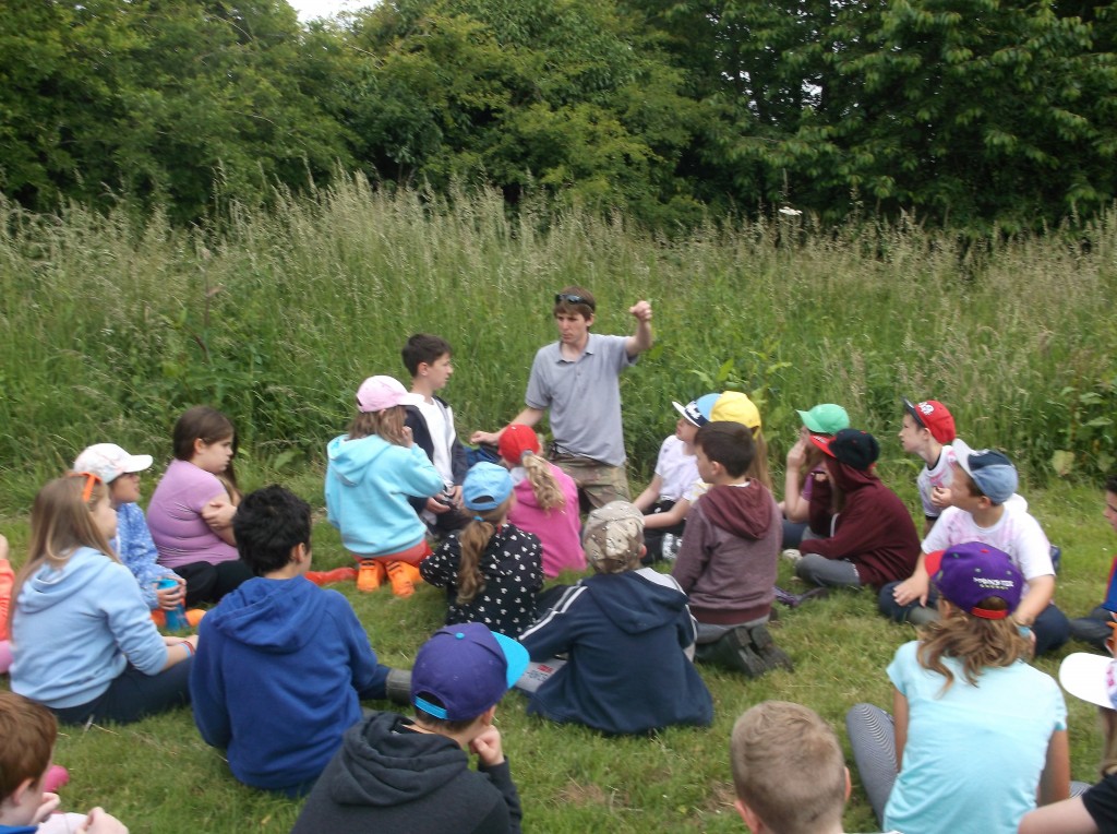 Nature walking - Whitwell Hall